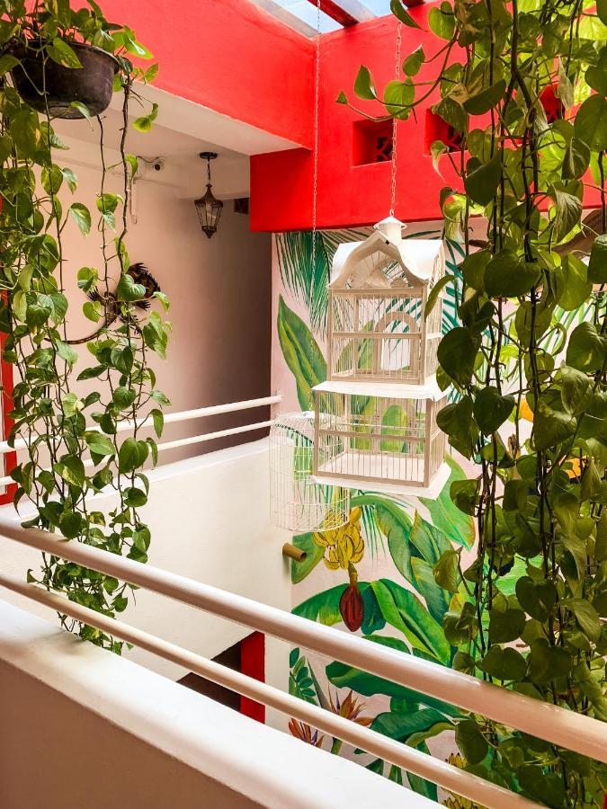 La Iguana Vallarta Lgbt Adults Only - Romantic Zone - Party Clubbing Street 푸에르토 발라타 외부 사진